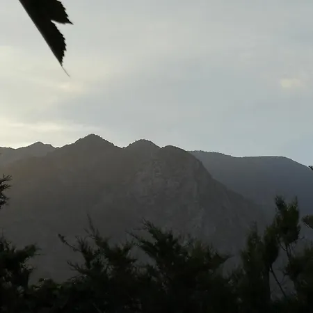 Quimera En Vila Marbella
