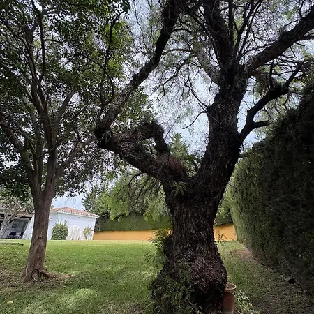 Quimera En Vila *